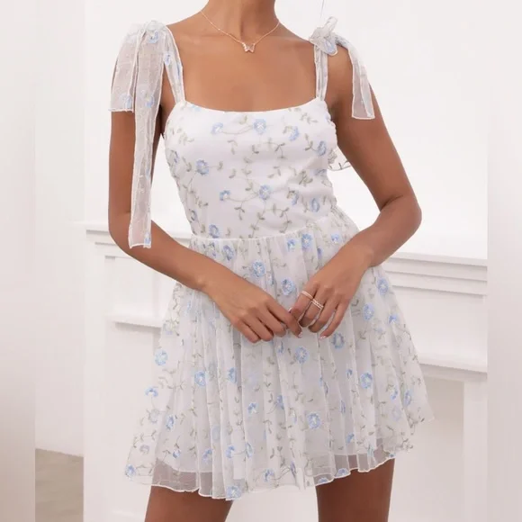 Lucy in the Sky | Dresses | Lucy In The Sky Embroidered Blue Flower Mesh  Dress In White Nwot | Poshmark